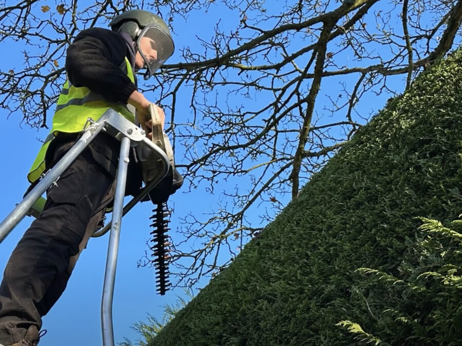 Hedge Trimming with Thomas Fox Landscaping